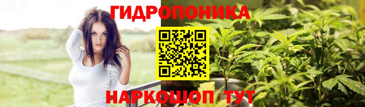 Благодарный  Марихуана ГИДРОПОН  Вход с VPN  Бошки Шишки семена  Бошки Шишки MAZAR 